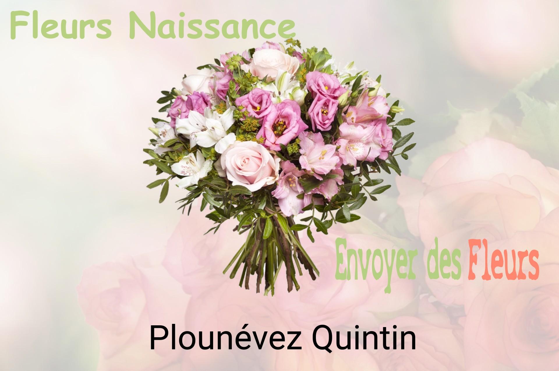 Bouquet de fleurs de naissance livré à Plounévez-Quintin